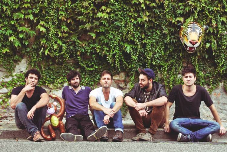 shelter77728854_4179235493297631886_n