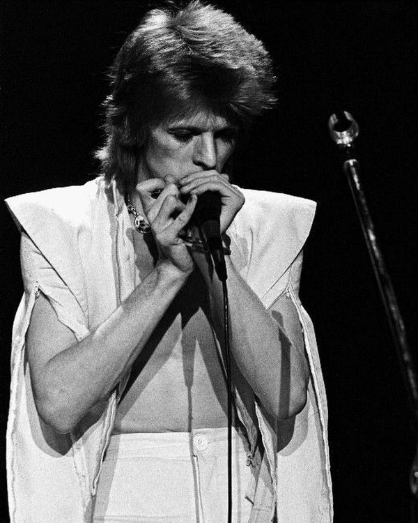 8b080e38437a7d7ed66a303f7cdc6b49